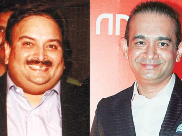 चोकसी ने खोली थी 73 कंपनियां