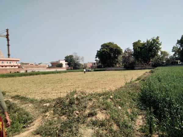 डीएम मथुरा ने दिया फसल कटवाने का आदेश