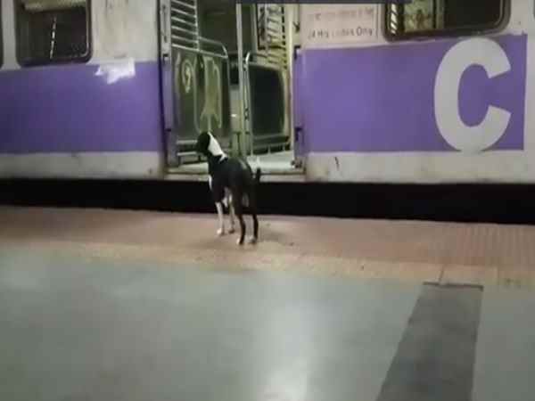 लोगों ने रेलमंत्री पीयूष गोयल से मांगी सहायता