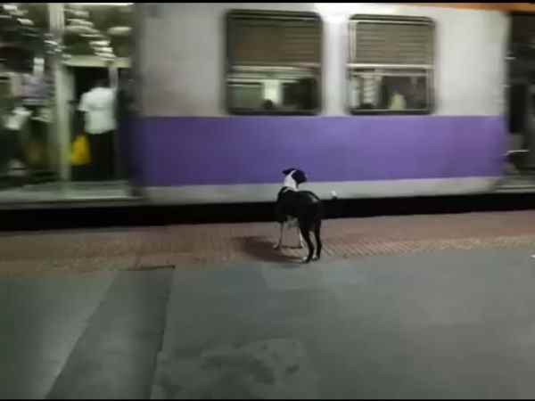 स्टेशन के सीसीटीवी में कैद