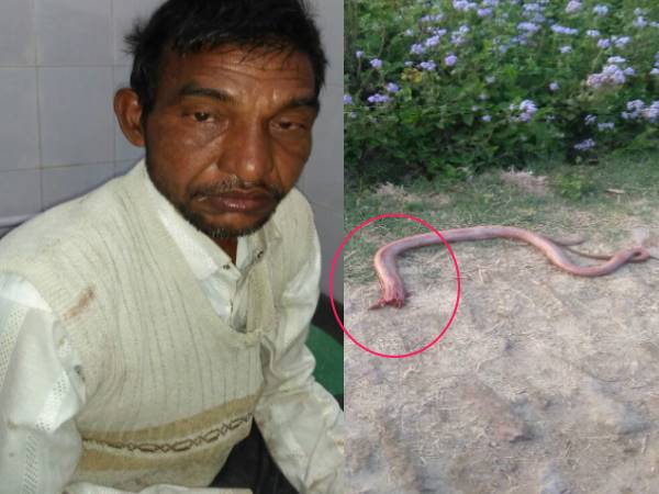 हरदोई के माधौगंज थाना क्षेत्र का मामला