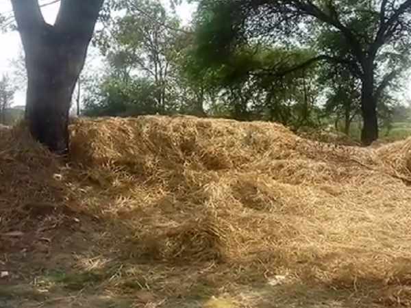 कैमरे में देखा इधर-उधर घुम रही थी चुड़ैल