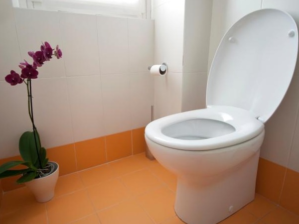 Toilet Toilet