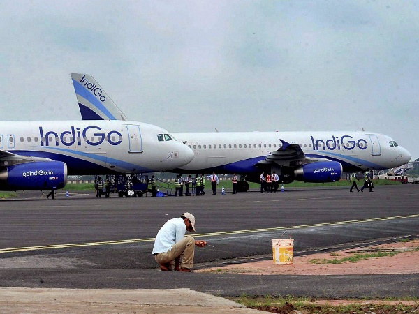 Indigo Indigo