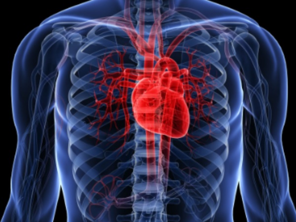 Heart Heart