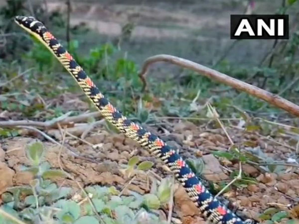 लोगों की जमा हो गई भीड़