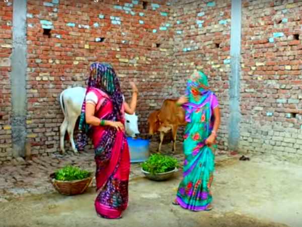 सोशल मीडिया पर हिट हुआ वीडियो
