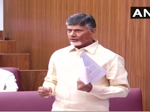 tdp tdp