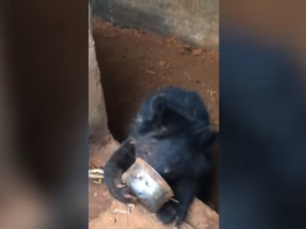 तीन साल से था घर में