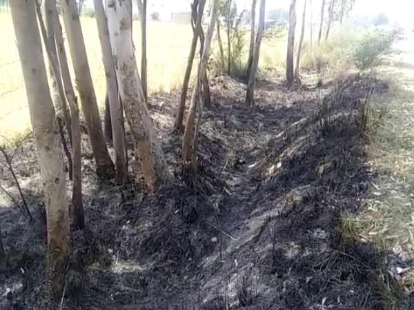 raebareli man killed by unknown and burnt too raebareli man killed by unknown and burnt too