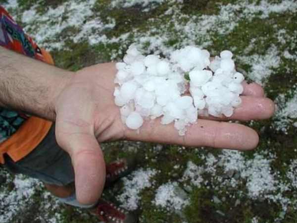 hail stone rain forecast in Maharashtra and Vidarbha on 7 March hail stone rain forecast in Maharashtra and Vidarbha on 7 March