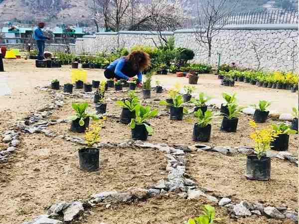 पहली फिल्म के लिए मिला था बेस्ट फीमेल डेब्यू का अवार्ड