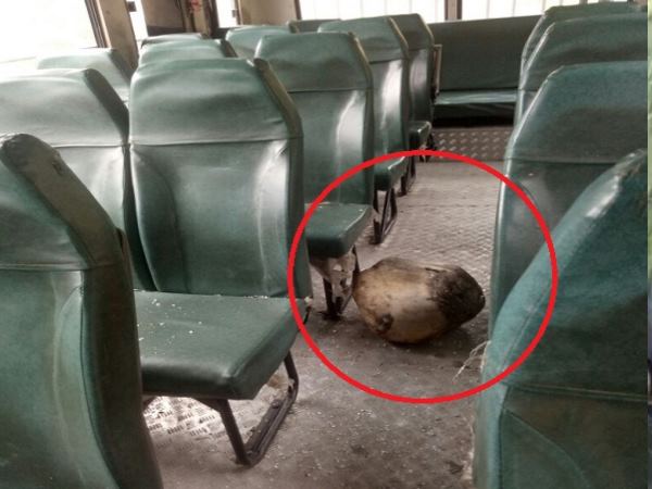 stone causes the death of a passenger traveling in Himachal Pradesh stone causes the death of a passenger traveling in Himachal Pradesh