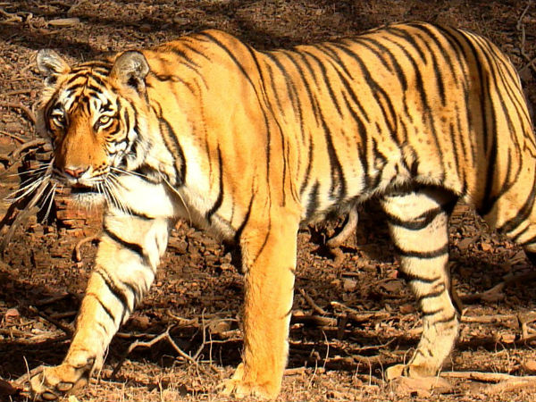 खास सुविधाओं का इंतजाम