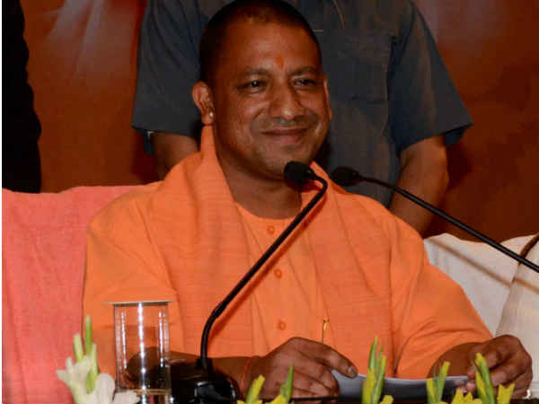 yogi yogi
