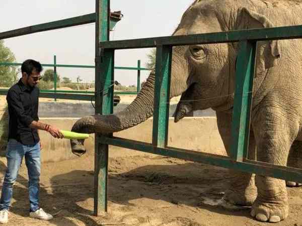 Yuzvendra Chahal visits Elephant Conservation Center Yuzvendra Chahal visits Elephant Conservation Center