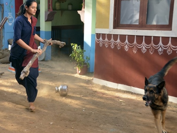 डंडा लेकर किया अपना बचाव