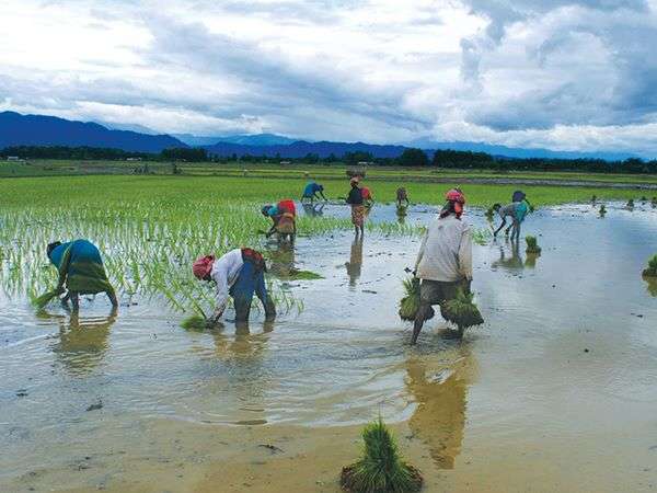 किसानों के लिए बेहतर संकेत
