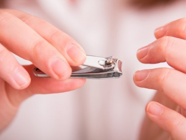 Nail Cutter Nail Cutter
