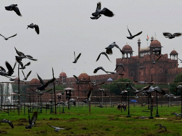 Delhi Delhi