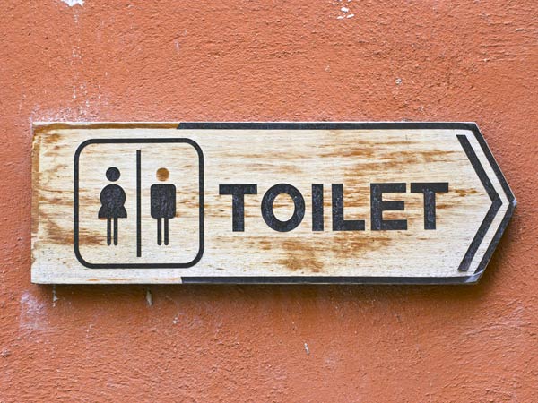 toilet toilet