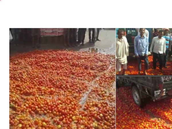 Bihar rohtas farmers threw away tomatoes on road Bihar rohtas farmers threw away tomatoes on road