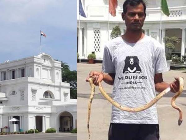 साल में दूसरी बार विधानसभा से बरामद हुआ सांप