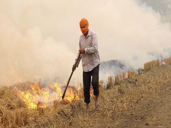 फसलों के अवशेष जलाने का प्रचलन बढ़ा