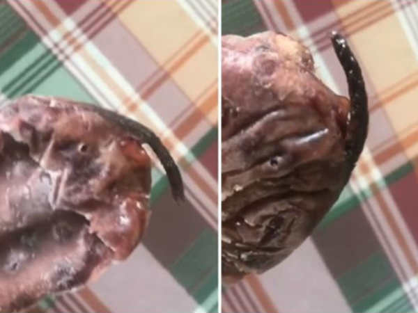 बनाया VIDEO और पहुंची दुकानदार के पास