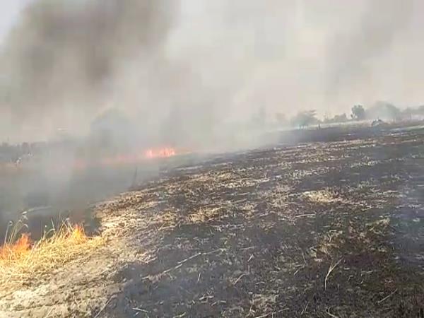 etawah hightension line falls on 200 bigha crop burnt etawah hightension line falls on 200 bigha crop burnt