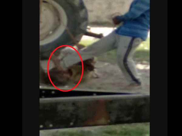 Son beaten his sick father in kushinagar Son beaten his sick father in kushinagar