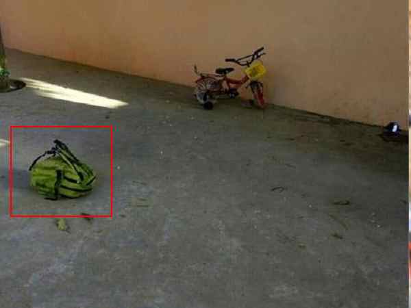 Pakistan map and bullets found in bag near Pathankot airbase Pakistan map and bullets found in bag near Pathankot airbase