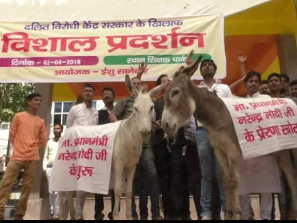 kanpur dalit unique protest kanpur dalit unique protest