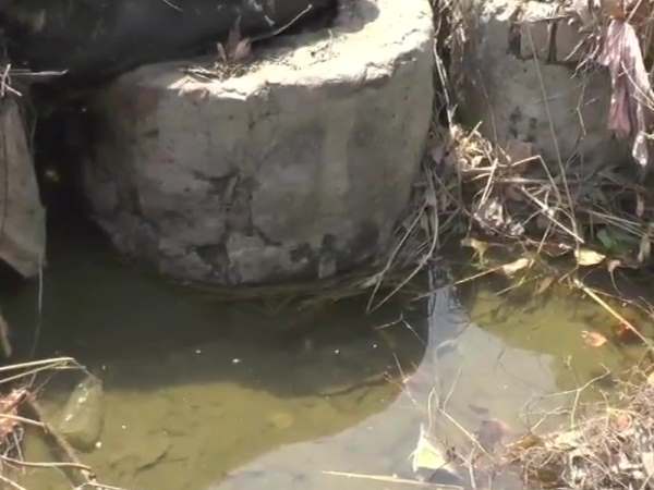 हरियाणा के रोहतक में 7 साल की बच्ची का शव नहर में तैरता मिला हरियाणा के रोहतक में 7 साल की बच्ची का शव नहर में तैरता मिला