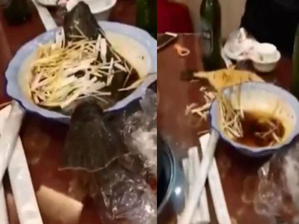 video: fish ‘comes back to life’ on restaurant table despite being cooked video: fish ‘comes back to life’ on restaurant table despite being cooked
