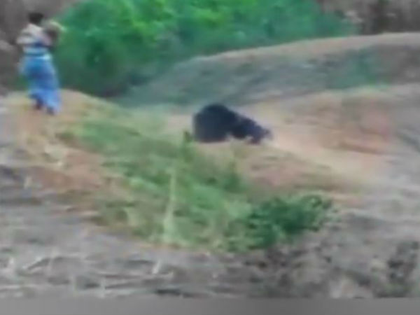 Video: Bear killed man while he was trying to take a selfie with him Video: Bear killed man while he was trying to take a selfie with him