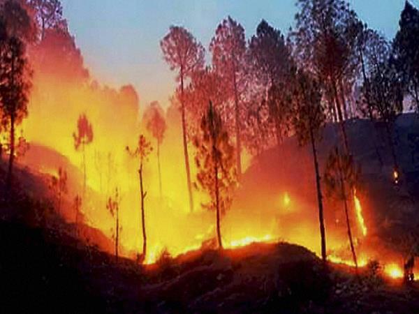 उत्तराखंड: पौड़ी गढ़वाल से लेकर चंपावत तक फायर अलर्ट जारी उत्तराखंड: पौड़ी गढ़वाल से लेकर चंपावत तक फायर अलर्ट जारी