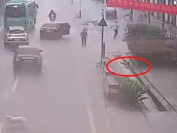 Viral Video Viral Video