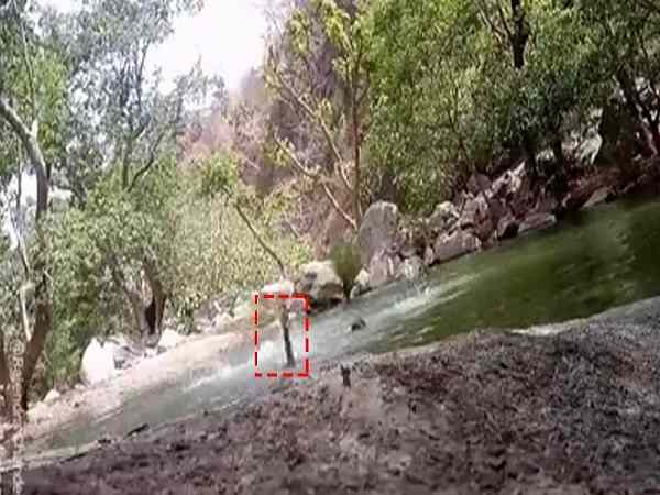 Three youths stranded in pond, video goes viral on social media Three youths stranded in pond, video goes viral on social media