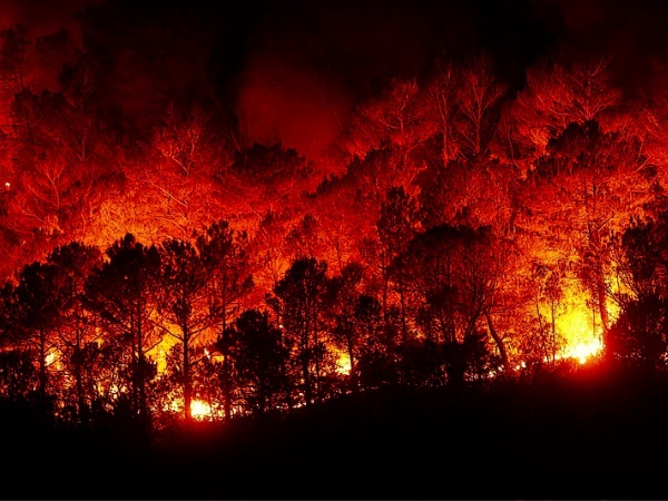 Fire Fire