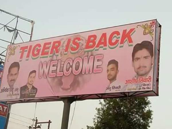 टाइगर इज बैक के नाम से शहर भर में लगाए गए पोस्टर