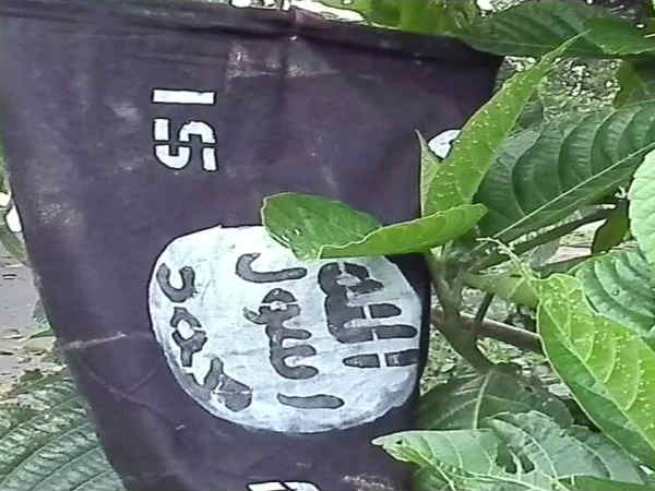 assam-isis-black-flags.jpg assam-isis-black-flags.jpg