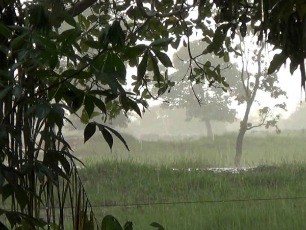ला-नीना वर्ष