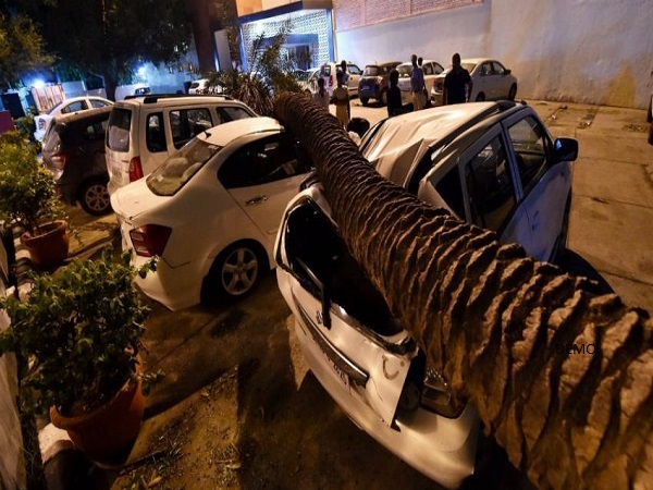 Delhi People took photos but no one helped, says friend of 19-year-old killed in storm Delhi People took photos but no one helped, says friend of 19-year-old killed in storm