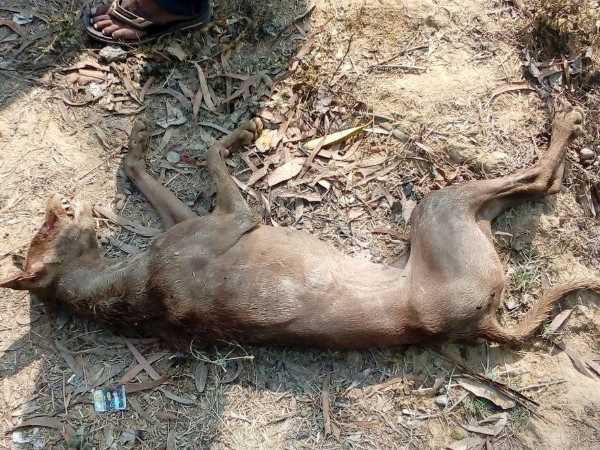 अब प्रशासन ने भी कसी कमर