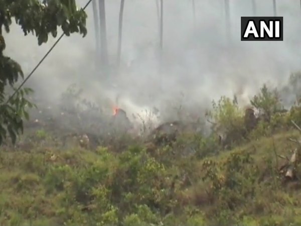 कई हेक्टेयर जंगल पूरी तरह जलकर खाक