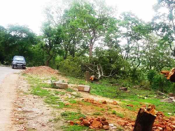 अधिकारियों ने कही कार्रवाई की बात