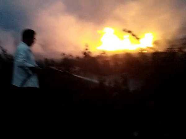 Kannauj: Fire broke out by the lake near Lakh Bahosi Sanctuary engulfing an area of 3 km Kannauj: Fire broke out by the lake near Lakh Bahosi Sanctuary engulfing an area of 3 km