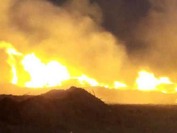 Kannauj: Fire broke out by the lake near Lakh Bahosi Sanctuary engulfing an area of 3 km Kannauj: Fire broke out by the lake near Lakh Bahosi Sanctuary engulfing an area of 3 km