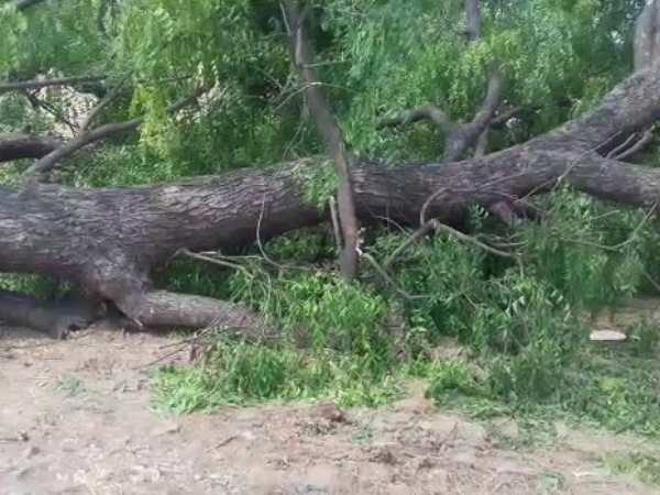 Brother of groom killed in Kannauj Brother of groom killed in Kannauj